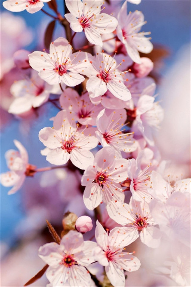 f187c5971fe66adbbde85d06a505f9f9_r3i5qxnpotdr3i5qxnpotd.jpg